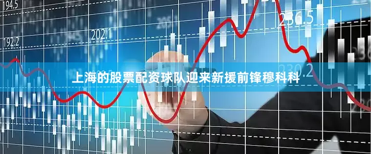 上海的股票配资球队迎来新援前锋穆科科
