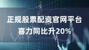 正规股票配资官网平台　　喜力同比升20%