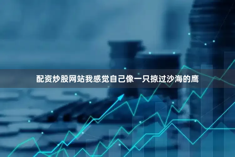 配资炒股网站我感觉自己像一只掠过沙海的鹰