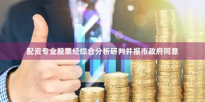 配资专业股票经综合分析研判并报市政府同意